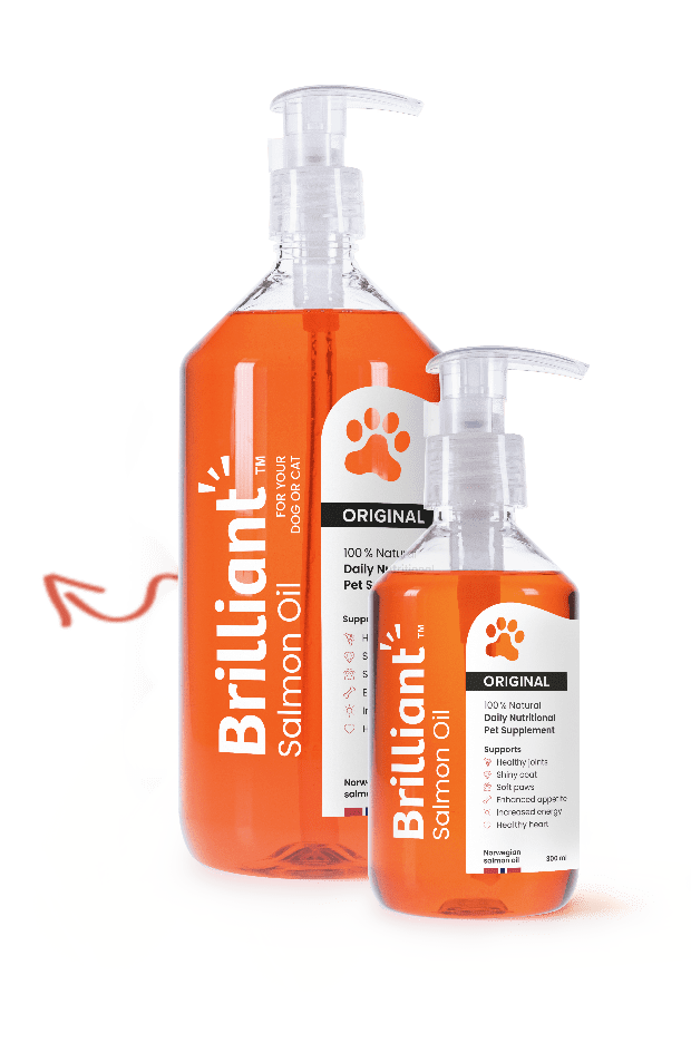 Brilliant Salmon Oil for Dogs (40oz) | Omega 3 Fish Oil Liquid Supplement  with DHA, EPA Fatty Acids | Supports Skin and Coat, Immune System & Joint