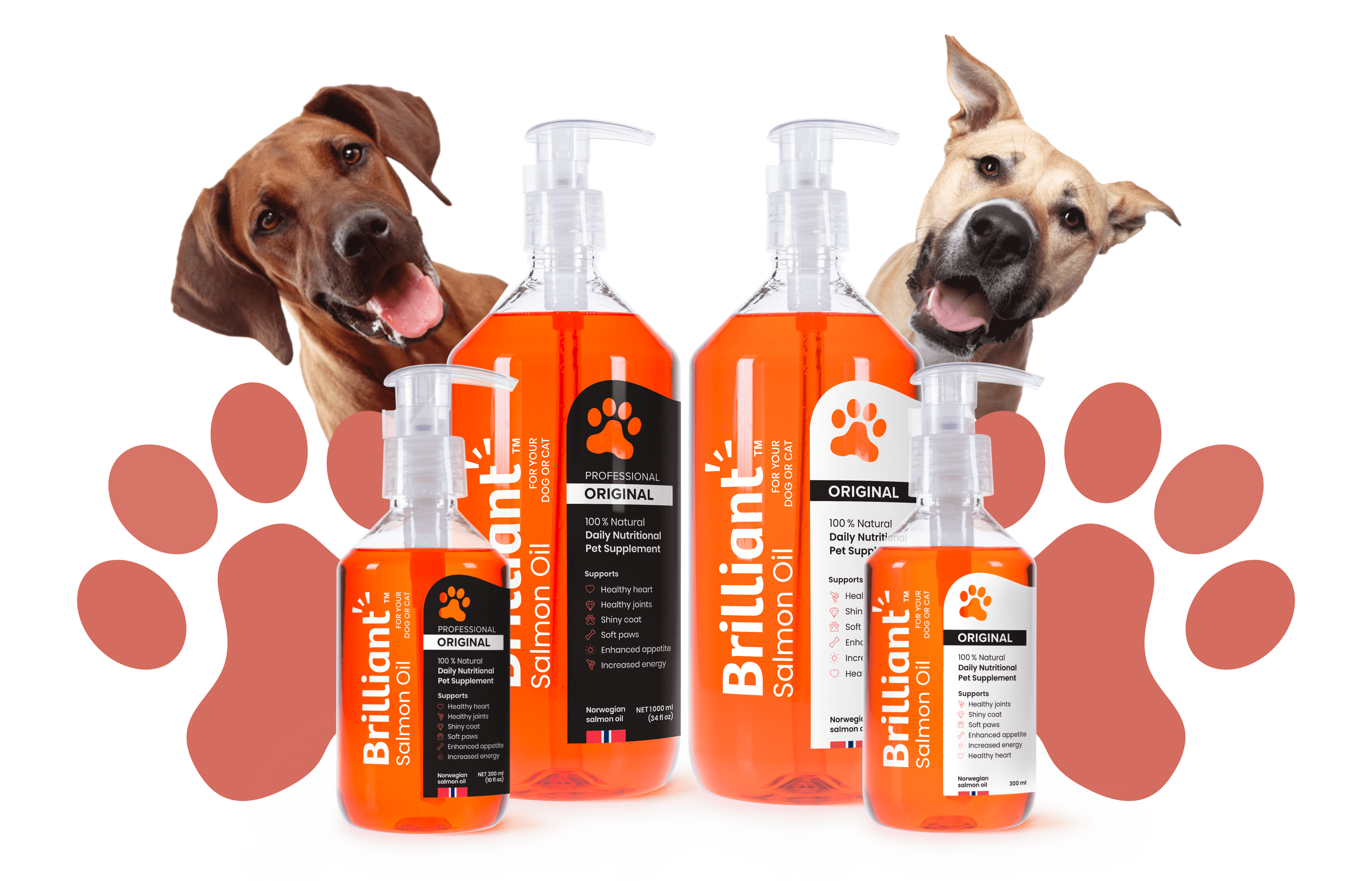 Where to Buy Salmon Oil for Dogs