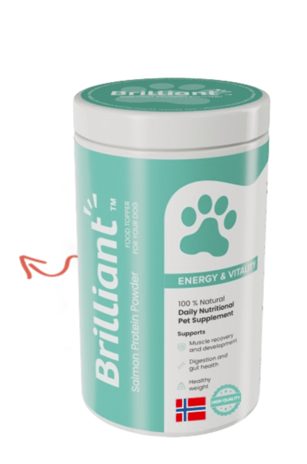Is protein powder bad for dogs store