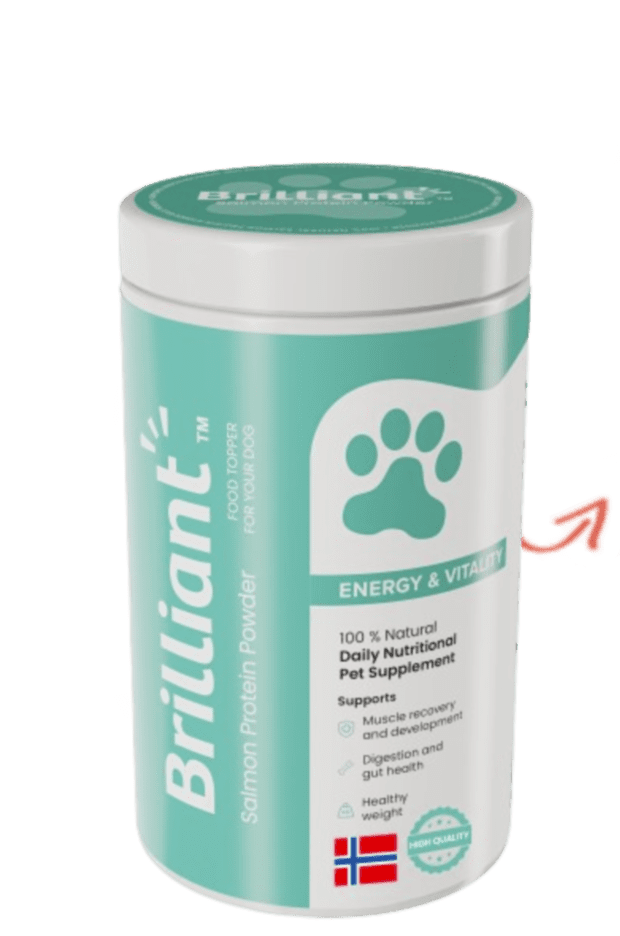 Best protein powder for dogs top
