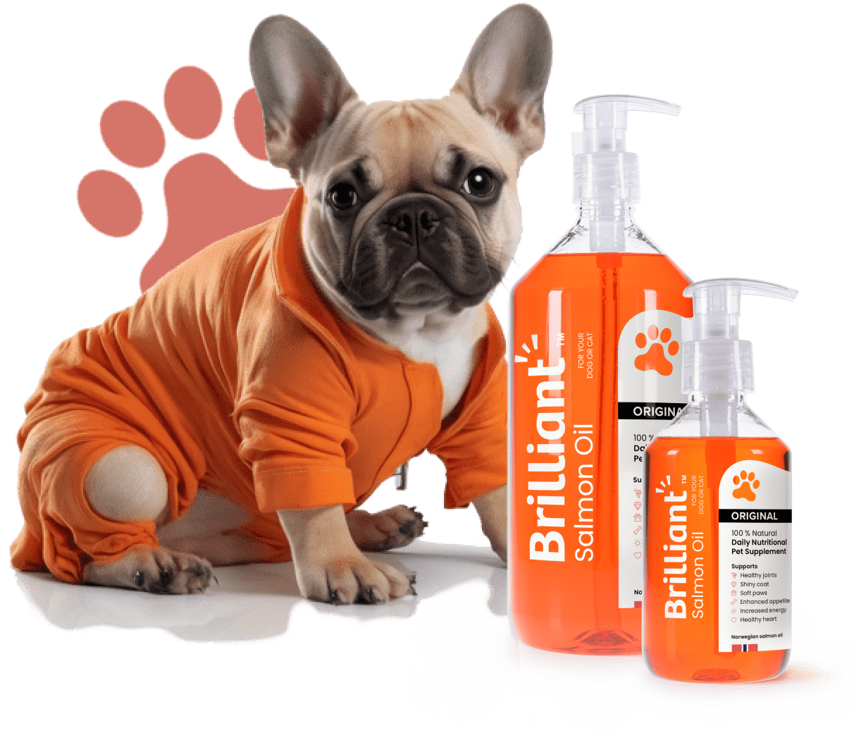 Salmon oil for dogs pets at home online